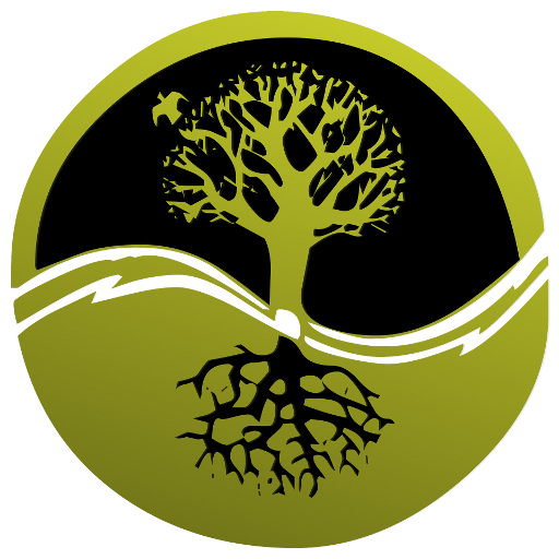 Local Tree Surgeon Yorkhill